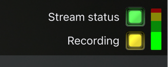 recording broad yellow